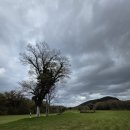 (주)잔디투어 이미지