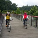 호수공원소나무숲길 이미지