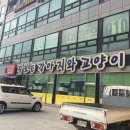 장보는 강아지와 고양이 안성본점 이미지