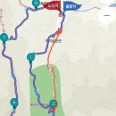 아리숲펜션 | [명산산행_축령산] 피톤치드의 대명사 편백나무숲 장성 축령산