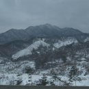 참솔농장 이미지