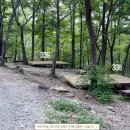 국립유명산자연휴양림 이미지