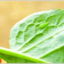 고려포토 이미지