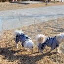 룰루랄라 이미지