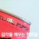 파이프라인몰 이미지