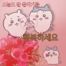 스타일복싱 | 운동과 담쌓던 20대 여자의 복싱 두 달 차 후기 (+첫 스파링)