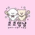코코멍냥 네이버블로그