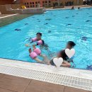 자매김밥 이미지