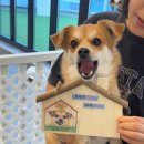 뽀글뽀글 반려견 유치원&호텔 이미지