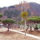 홍천군산림조합 이미지