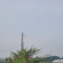 스마트스토어 숏 폼마케팅 이미지