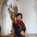 마리교회 이미지