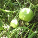 민수농장 이미지