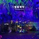 광명동굴 이미지