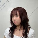 펠리아 네이버블로그
