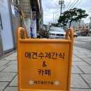 보니더펫 이미지