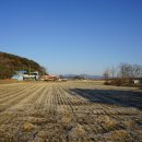 고살메갈꽃체험마을 이미지