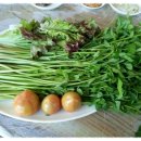 탐복미나리가든 이미지