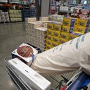 루마인 | 코스트코 <템퍼 배게, 루마인홈 메모리폼 토퍼> 후기. feat. 허리 통증에 대한 고찰