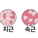 무브(주) 이미지