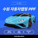 수원 wrapping 전문 커스텀비 우라칸 에보스파이더 파스텔블루 전체 랩핑 후기