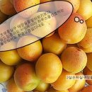 적음농장 이미지