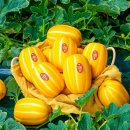 (주)아영 이미지