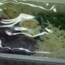 오늘또분식 이미지