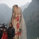 비안도초 이미지