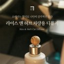 정원카 | 차량용 방향제 하나로 내 차가 숲속 정원으로! 살림백서 포레스트가든 명품 카디퓨저 찐 후기