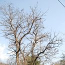 겨울나기 생태수업 이미지