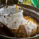 평화양봉산업 이미지