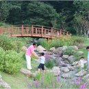 일자산 자연공원 이미지