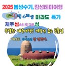 하하투어 이미지