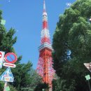 4522 | 일본 해외 여행 카드 네이버페이머니 카드 실사용 혜택 후기