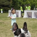 멍멍이미용실 이미지