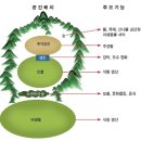 풍수지리(양택 / 주택) 이미지