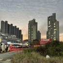 제인헤어 | 순천 신대지구 미용실 추천! 모모제인 헤어 클리닉으로 곱슬머리 관리 후기