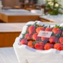 알로만농장 이미지