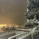 그린티 민박 | 12월 첫째주 일상 | 9개월 아기랑 내돈내산 괌 여행 (공릉 소재네일, 해피밀 그린치, 롯데호텔 괌, 에어...