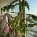 가락타운1단지 이미지