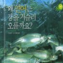 로파우사다 이미지