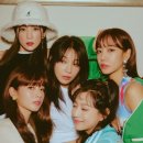 Y.C 엔터테인먼트 이미지