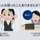 모두의 집사 이미지