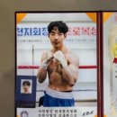 레드윙 복싱 이미지