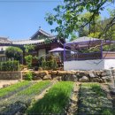 지니민박 이미지