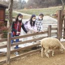 소중목장 이미지