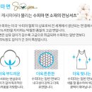 애터미양 이미지