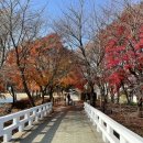 시민테니스장 이미지