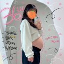 신생아 손수건 세탁방법 임신 후기 증상 36주 일상